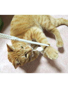 Cat Toothbrush Rope Silkworm Cocoon w/ Catnip Dental Care Toy made in Japan