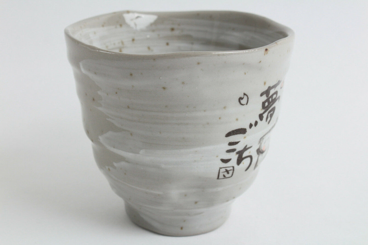 Mino ware Japanese Pottery Mug Cup Sleeping Cat Gray Sanaegama made in Japan