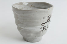 Mino ware Japanese Pottery Mug Cup Sleeping Cat Gray Sanaegama made in Japan