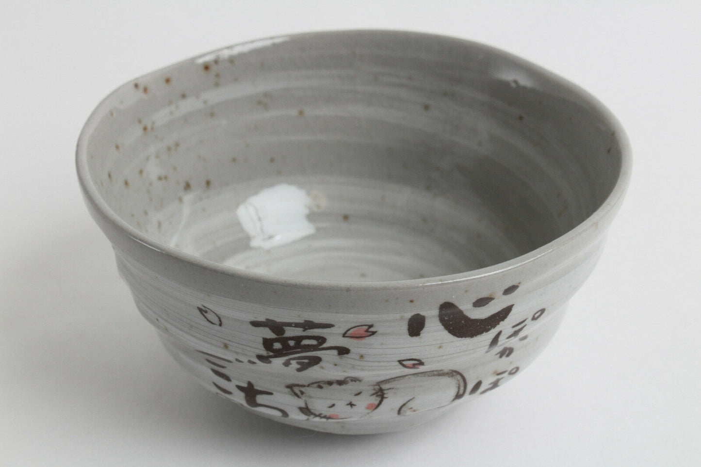 Mino ware Japanese Pottery Rice Bowl Sleeping Cat Sanaegama Gray made in Japan