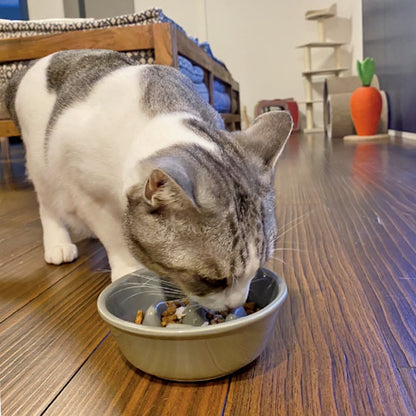 Cat eating from a Gray Mino Ware slow feeder cat bowl made in Japan