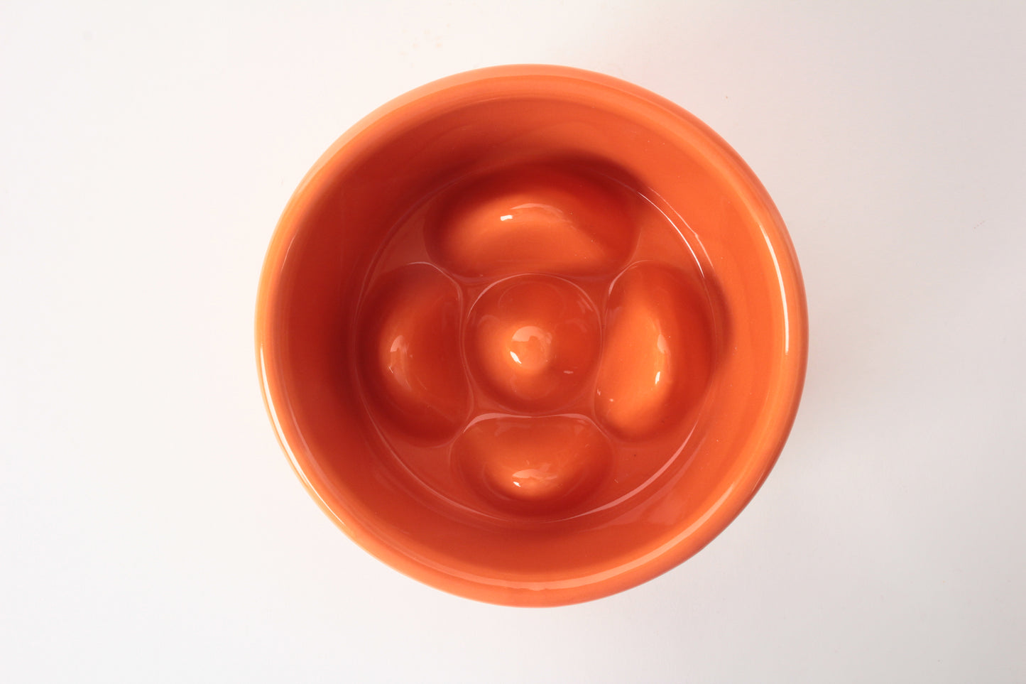 Mino ware Japanese Ceramics Cat Food Bowl Food Vessel Diagonal shape Orange w/Protrusions to Prevent Fast Eating Made in Japan