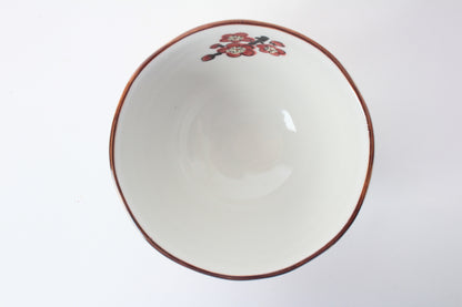 Mino ware Japanese Ceramics Hand-Drawn Rice Bowl Cat and Plum Flowers Red made in Japan