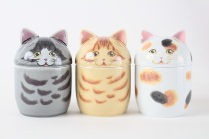 Mino ware Japanese Ceramic Lidded Pot Cat Pit (Large) Ginger Tabby Cat made in Japan