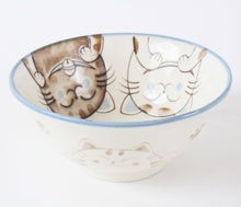 Mino ware Japanese Ceramics Large Rice Bowl Smiling Cats Blue made in Japan
