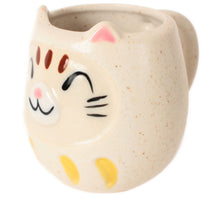 Mino ware Japanese Pottery Mug Cup Cat Daruma Chiffon White made in Japan