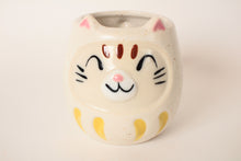 Mino ware Japanese Pottery Mug Cup Cat Daruma Chiffon White made in Japan
