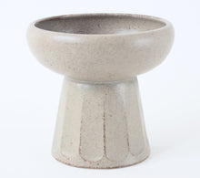 Food vessels for cat
